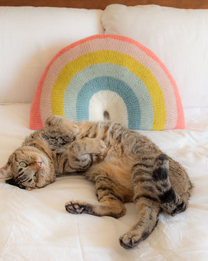 Over-the-Rainbow Pillow Knitting Kit